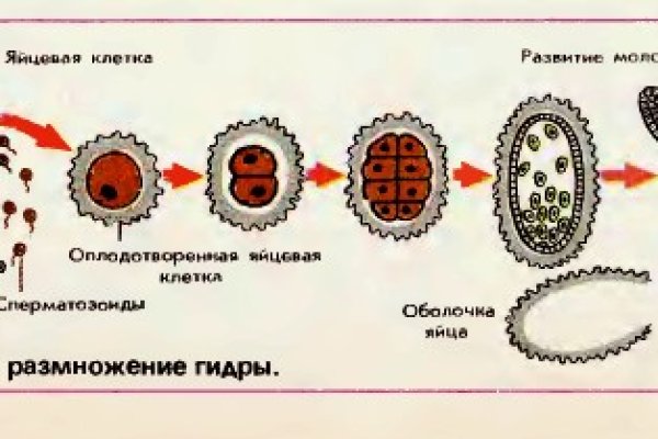 Кракен купить гашиш