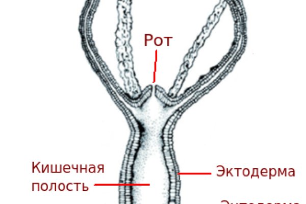 Кракен рынок сайт