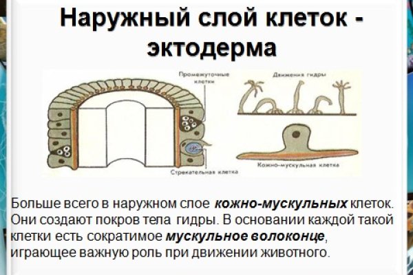 Через какой браузер можно зайти на кракен